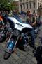 HOHO 2008