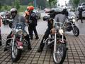 Alpy 2008