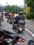 Alpy 2008