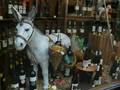 Všude dealer! - střípky z léta 2008 Amsterdam a Dusseldorf
