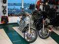 Pravidelné setkání Chapteru Harley - Troja/Leden 2005