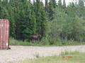 Alaska 07 - druhá část