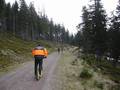 Monte Negro Downhill Scooter