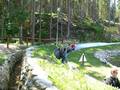 Novobydžovský čtverec - 13. ročník memoriálu Elišky Junkové /21.-22.6.2008 