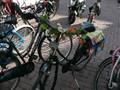 Všude dealer! - střípky z léta 2008 Amsterdam a Dusseldorf